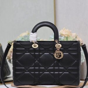 TRUE -TO – ORIGINAL | Medium Lady D-Sire gold hardware size 29 x 20 x 12cm