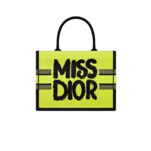 Dior Book Tote Bag Two-Tone Green And Blue For Women 42 cm